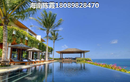 ?？诤Ｔ聘址客顿Y潛力大揭秘！值得入手嗎？